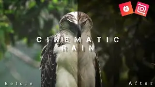 Colour grading in mobile (Inshot video editor)