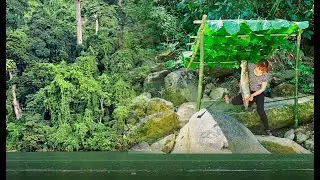 Camping, Bushcraft, solo survival, catching big fish, cooking in the forest