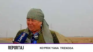 KO'PRIK YANA TRENDDA