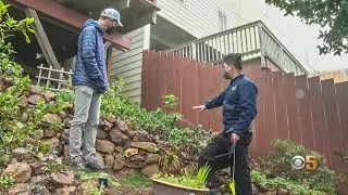 S.F. PUC Offers Free Consultation to Help Customers Save Water