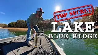 What's the SECRET to Catching Fish in Lake Blue Ridge?