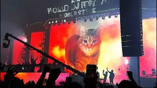 W&W B2B R3HAB - LIVE @ WORLD DJ FESTIVAL 2025 JAPAN