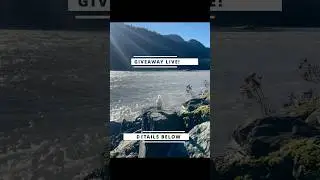 🚨GIVEAWAY LIVE🚨