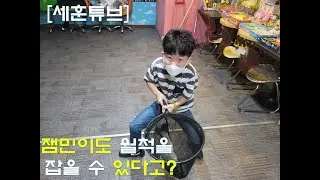 [세훈튜브] 천안 낚시카페 물고기세상 실내낚시터(어린이 낚시 체험)