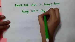amino acid derivatives of Acetyl choline II biochemistry  mp4
