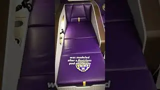LSU's Football Facilities Are One Of The BEST in College Football!