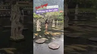 WALKING ON WATER?!? Experiencing a 