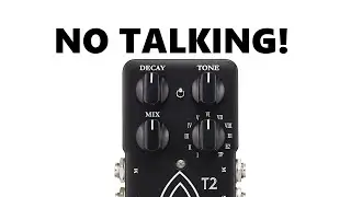 TC Electronic - T2 Reverb - Demo - NO TALK JUST PLAYING!