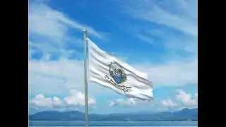 Saint Martin flag