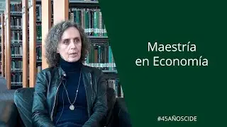 Maestría en Economía