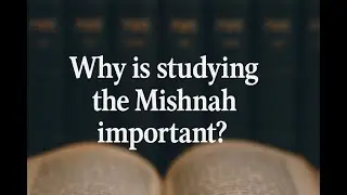 ПОДПИШИТЕСЬ сейчас и учитесь бесплатно с La Mishna TV
