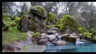 Pool Design Inspiration