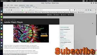 how to install adobe flash player in kali linux