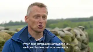 1000 sheep get smart