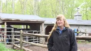 Kristin Elliott Leas Equine Insight