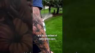 Discover the magic of Lawn Kelper