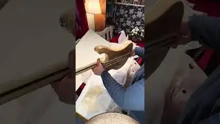 Chickenbacker from AliExpress