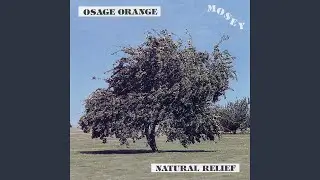 Natural Relief