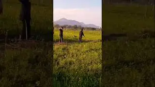 #new #new #love #love #indiansongs #funny #nature #music #bolleywoodsong #comedy #hindisong