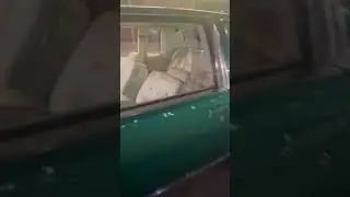 Regal on iroc&rsquo;s