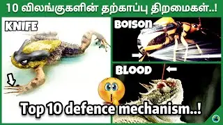 Top 10 defence | Animals defence mechanism | Animals abilities | Tamil | BioWorld | BW