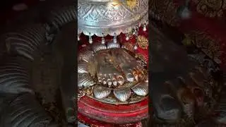 Helicopter Tour to Harsil | Aerial Views of Himalayas | Luxury Travel Experience