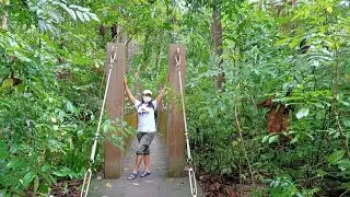 Chestnut Nature Park