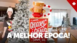 DECORANDO O APARTAMENTO PRO NATAL 🎄 + COSTO, fazendo bolo, enfeites nas lojas e um MIMIMEI 🥰