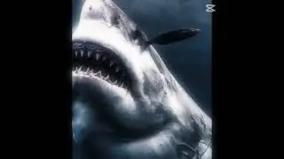 *galeophobia is the fear of sharks if I remember correctly