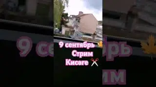 #башкортостан #татарстан #азатлык #алга #независимость #україна #нетвойне #youtubeshorts
