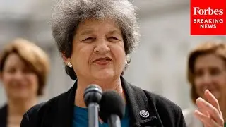 Lois Frankel Blasts GOP For &lsquo;Racing Full Steam&rsquo; To Criminalize Abortion Nationwide