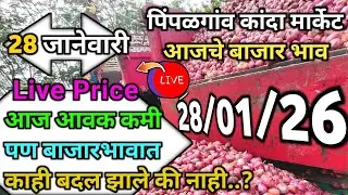 Pimpalgaon Onion Market Price Today:Latest Rates And Insights 28 January 2025