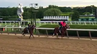 TIGALALU Breezing at Belmont 06 June 2018