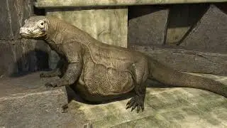 vore komodo dragon