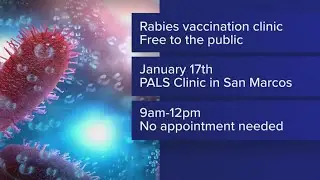 Rabies outbreak confirmed in Hays County