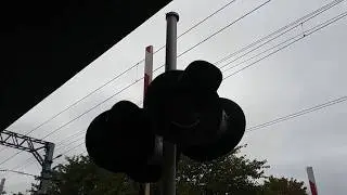 Long Branch Station Pedestrian Crossing Overview