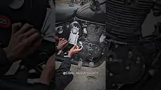 Royal Enfield side panel lion sticker ⚠️🦁#instagram #reels #trending #youtubeshorts #royalenfield