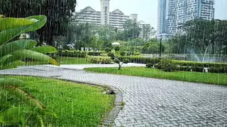 Rain Walk & ASMR Thunder | Bukit Jalil Recreational Park - Pt 2 | Nature Sounds for Sleep