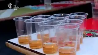 Magyar S&ouml;rpingpong Egyes&uuml;let: 6. Beerpong Fesztiv&aacute;l &eacute;s a S&ouml;rpingpong az M2-őn