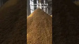 (Bremetz Machinery)#steam flaked corn production line#cornflakesmakingmachine