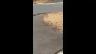 Sidewalk End (Accessibility)