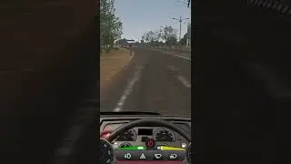 beautiful road truck driver
