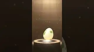 5km Egg Hatch on Pok&eacute;mon Go