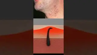Single Blade vs Multi-Blade - Which Actually Works #wetshaving #shaving