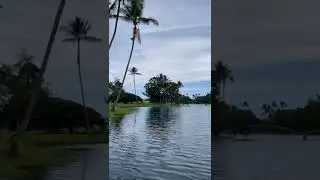 808 Shore Casting at Hilo Bay front bridge. 808 Island Casters