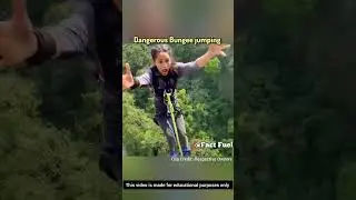 Bungee jumping can be dangerous😱#shorts#facts#amazing#viral #factfuel #trending