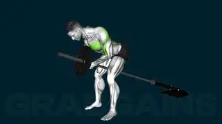 How to do the Lever Bent Over Row Plate Loaded | GrabGains