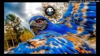 ASANTE  [FEELZER _ REMIX] (2026)ETT