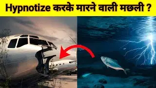 Hypnotize करके मारने वाली मछली 🧐🤔| Hawai Jahajo Ka Kabristan|Amazing Facts|The Factous RK|Mysterious