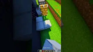 Minecraft On/Off Portal💀
